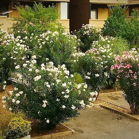 Apartment With Private Parking - Roma Est.